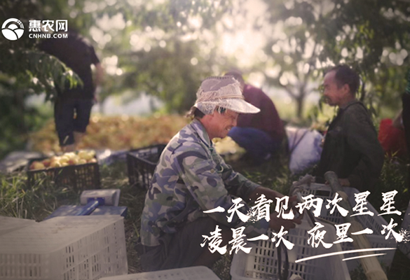 緻敬！每一(yī)位奮鬥路(lù)上(shàng)的(de)農(nóng)業(yè)人(rén)
