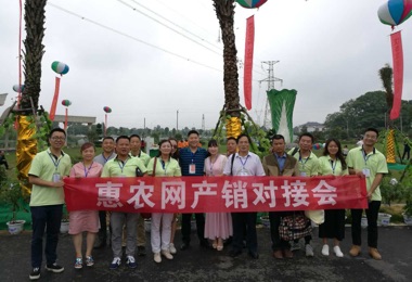 2017漢壽蔬菜網上(shàng)采購(gòu)節