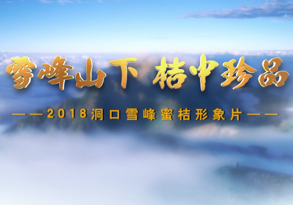 洞口雪(xuě)峰蜜桔宣傳片