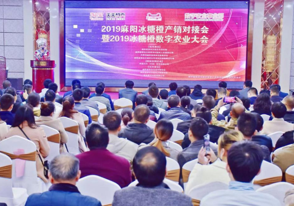 惠農(nóng)網助推麻陽冰糖橙産業(yè)升級 實現(xiàn)農(nóng)特産品“三品五化(huà)”