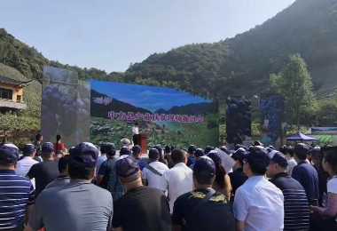 2019中國(guó)農(nóng)民(mín)豐收節-刺葡萄生(shēng)态文(wén)化(huà)旅遊節産銷對(duì)接會(huì)