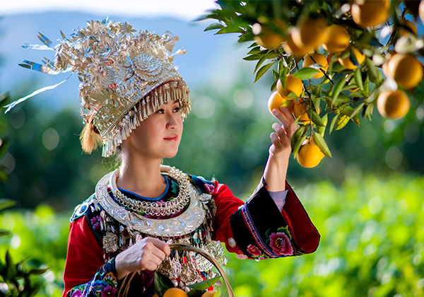 富硒冰糖橙香飄長(cháng)沙 愛(ài)心消費(fèi)助麻陽果農(nóng)脫貧增收