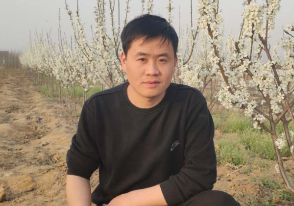 惠農(nóng)網發起“保耕行(xíng)動” 苗木(mù)商家(jiā)不(bù)誤春風(fēng)銷新綠(lǜ)