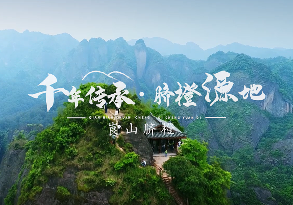崀山(shān)臍橙宣傳片