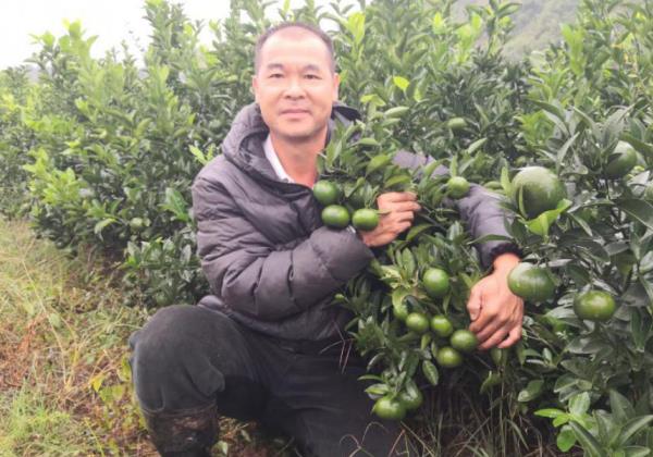 “惠農(nóng)直播”和(hé)“看(kàn)行(xíng)情”兩大(dà)功能(néng)助力惠農(nóng)網商家(jiā)日(rì)進鬥金(jīn)