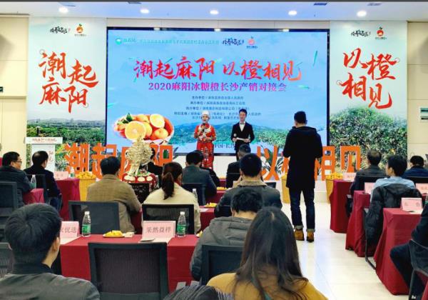電(diàn)商抱團助銷 2020年(nián)麻陽冰糖橙長(cháng)沙産銷對(duì)接會(huì)在惠農(nóng)網總部舉行(xíng)