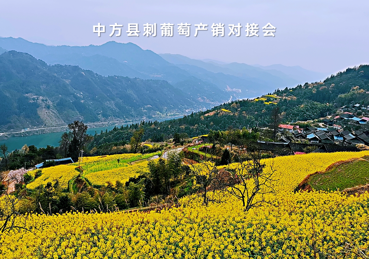 湖(hú)南(nán)省中方縣刺葡萄産銷對(duì)接會(huì)