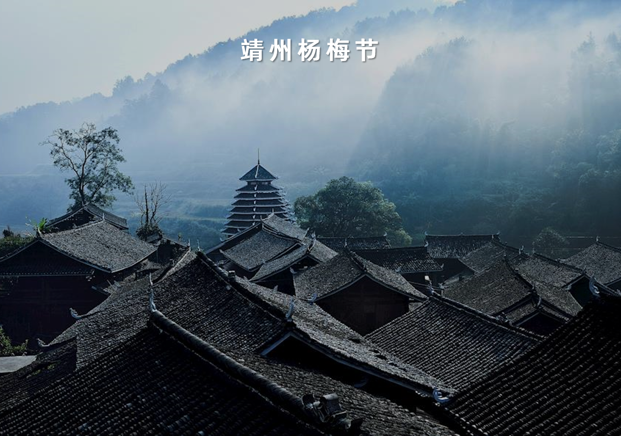 湖(hú)南(nán)省靖州苗族侗族自(zì)治縣靖州楊梅節