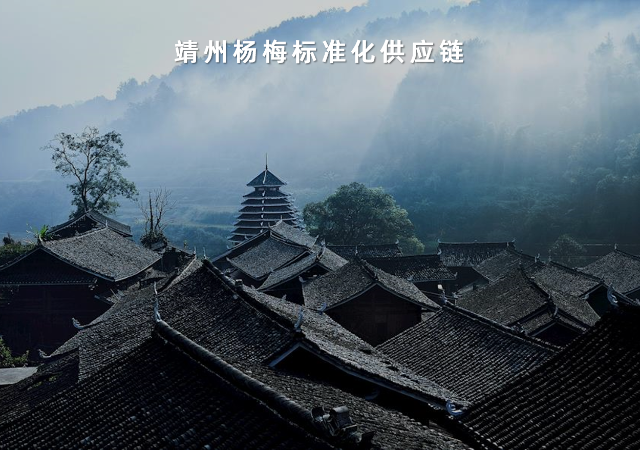 靖州楊梅标準化(huà)供應鏈
