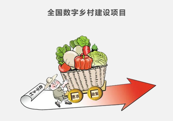 全國(guó)數(shù)字鄉(xiāng)村(cūn)建設項目