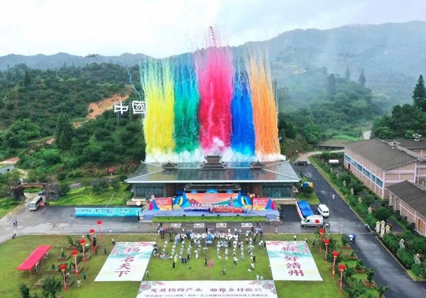 惠農(nóng)網近(jìn)千位電(diàn)商站(zhàn)長(cháng)齊助力 靖州楊梅“紅(hóng)”遍全國(guó)