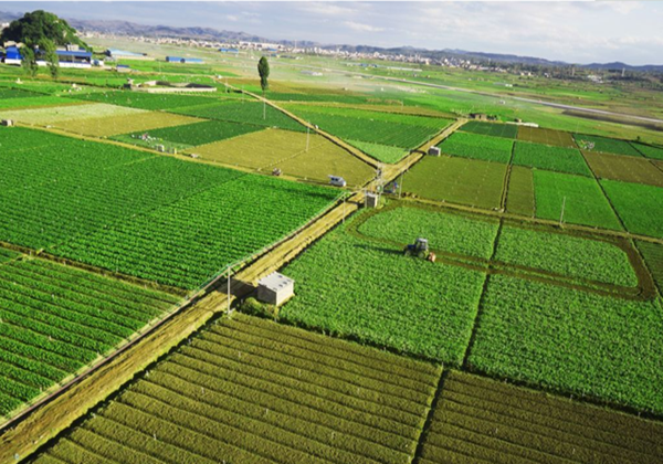 農(nóng)業(yè)農(nóng)村(cūn)部辦公廳關于開(kāi)展2022年(nián)全國(guó)休閑農(nóng)業(yè)重點縣申報(bào)和(hé)監測工(gōng)作(zuò)的(de)通(tōng)知(zhī)