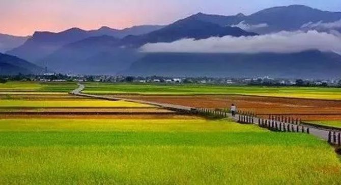 2024年(nián)農(nóng)業(yè)産業(yè)融合發展項目立項名單公示公告