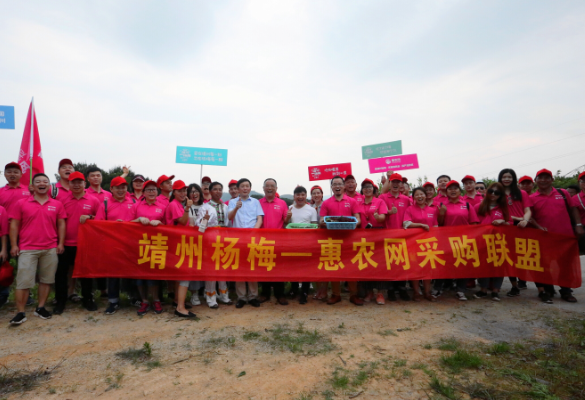惠農(nóng)網助力楊梅成地(dì)方經濟發展“名片”